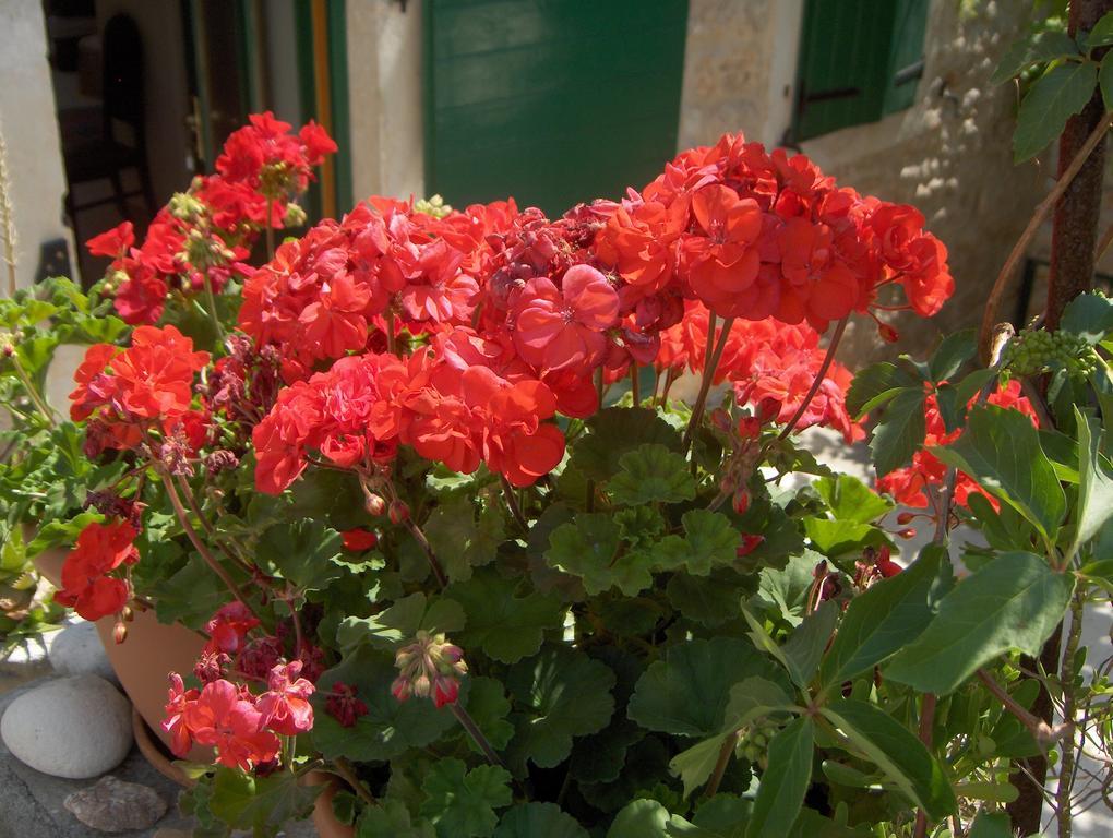 Guest House Lucijo Vrboska Buitenkant foto
